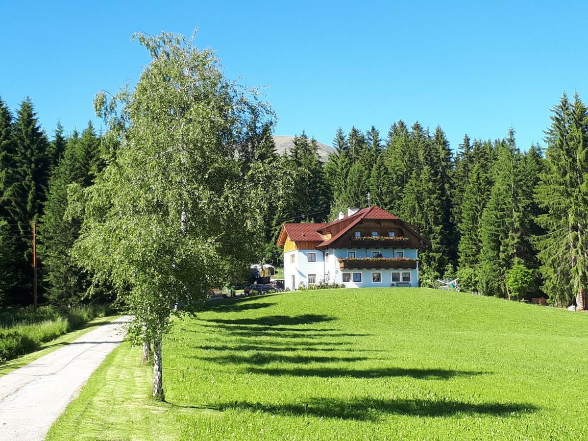 Apartamento Prestlhof Mariapfarr Exterior foto
